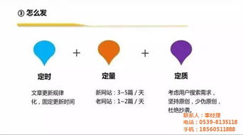 菏澤市網(wǎng)絡(luò)公司與臨沂新網(wǎng)網(wǎng)絡(luò) 軟件開發(fā)服務(wù)解析